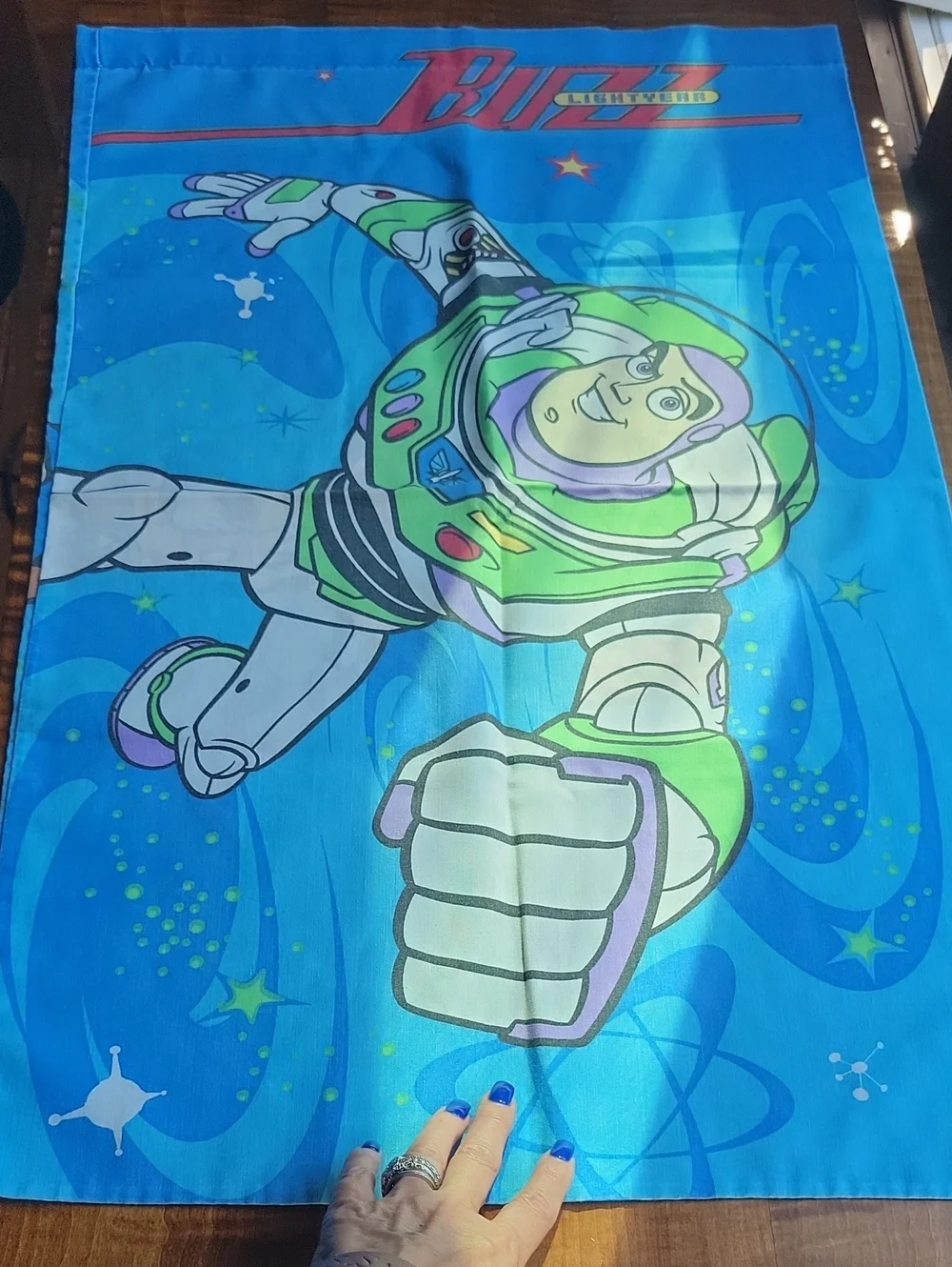 Vintage Cotton Percale Toy Story Pillowcase, Buzz And Woody